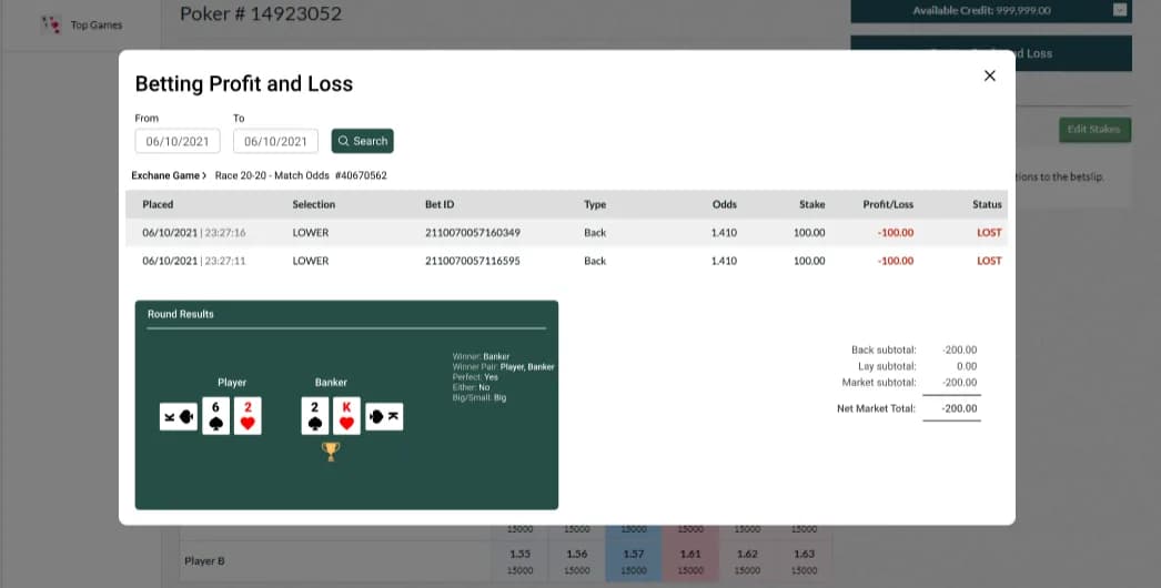 Project screenshot 3