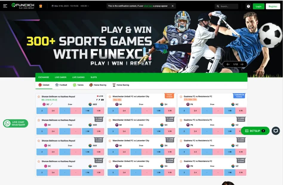 Project screenshot 16