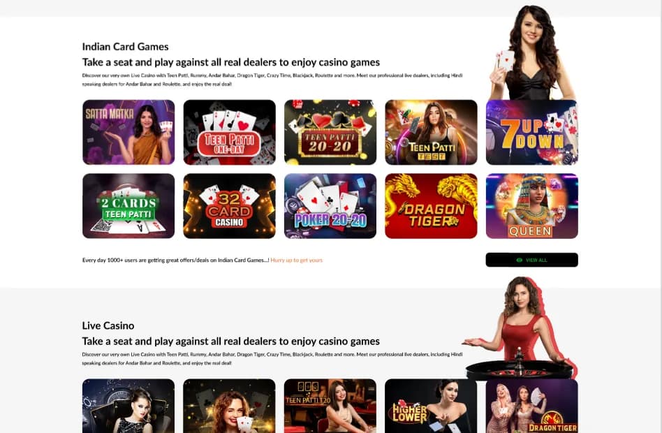 Project screenshot 17