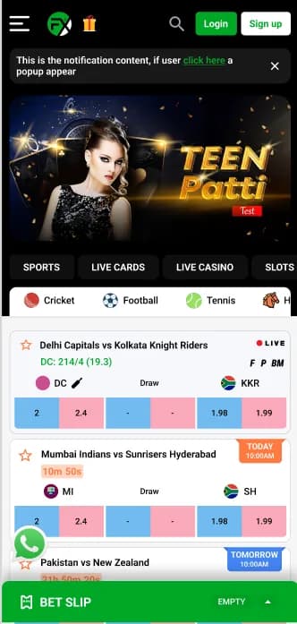 Project screenshot 11